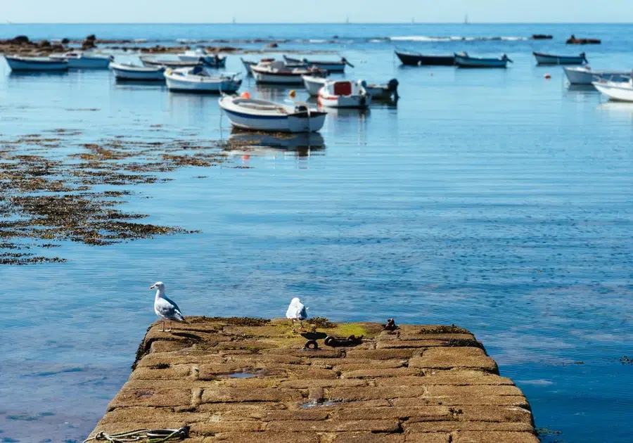 bateau peche finistere